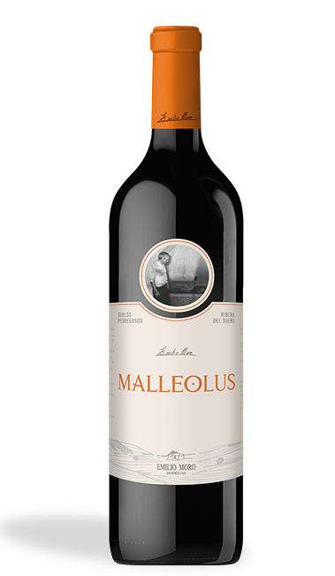 PDP_75cl_MALLEOLUS-1